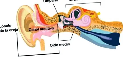 típusai