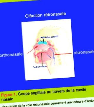 medical medical