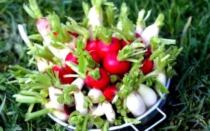 продукти