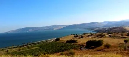 кафе