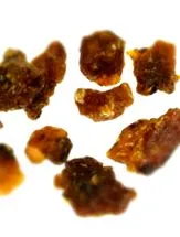 commiphora