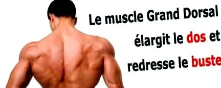 latissimus вправи