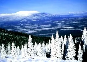 народи