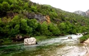 тарні