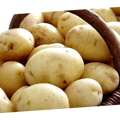 білий