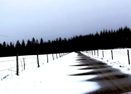 сніг