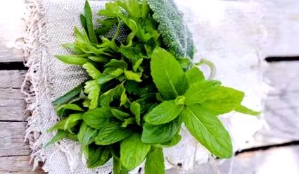 вкусовете живеят