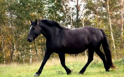 стан