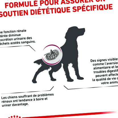 veterinary