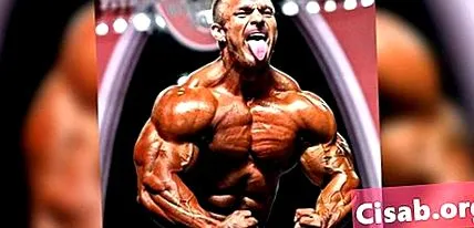 името flex