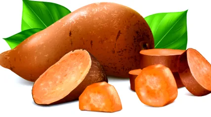паком