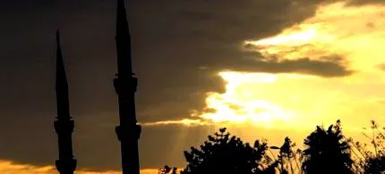 вегетарианец вегетарианец