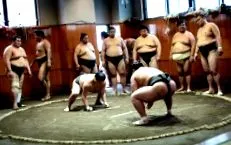 nagyon sumo