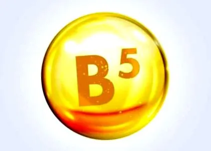 пантотенова витамин