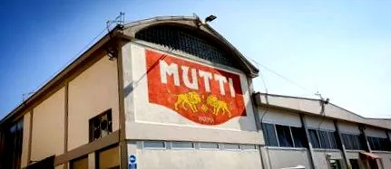 мутті