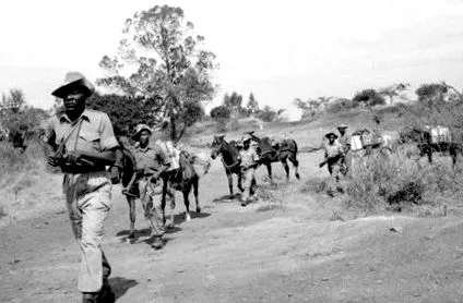 1952