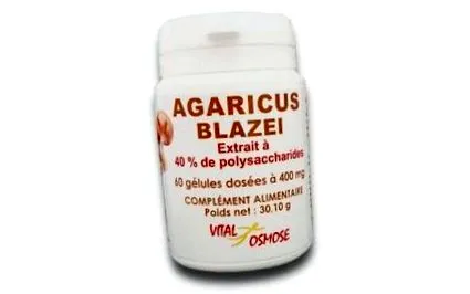 Agaricus blazei