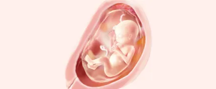 pampers
