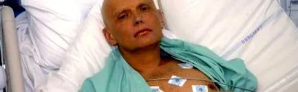litvinenko cărți