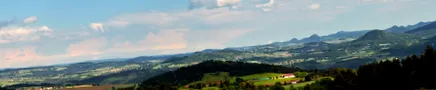 petrecerea pentru