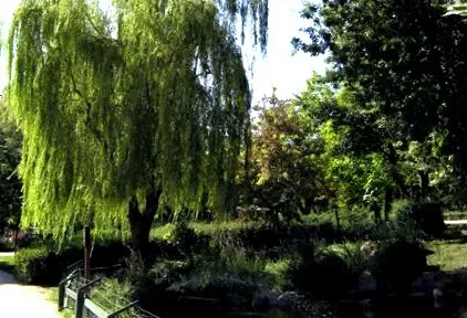 területek