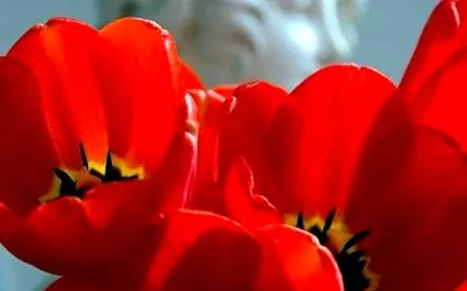 вулвовагинит