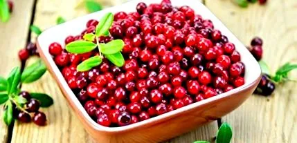 antioxidáns