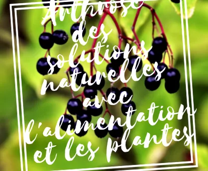 plante