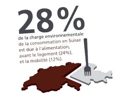 alimente
