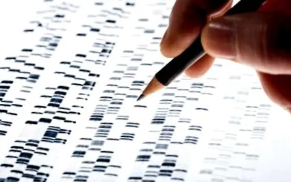 genetics