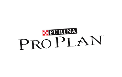 PLAN Light