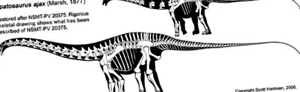 dinoszaurusz