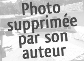 inserție