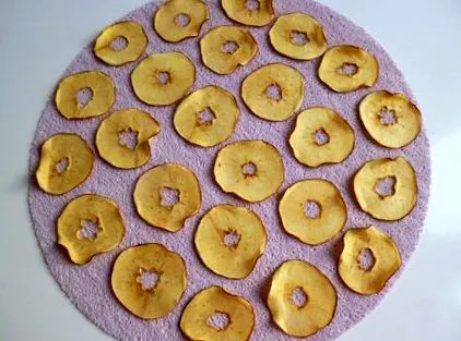 deshidratatorul