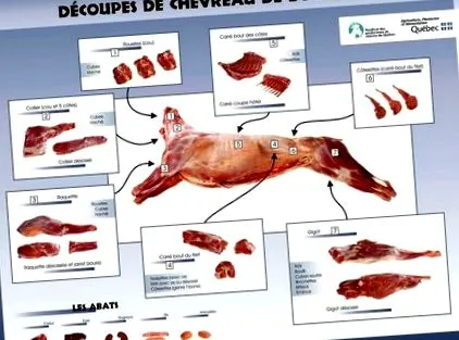 carne