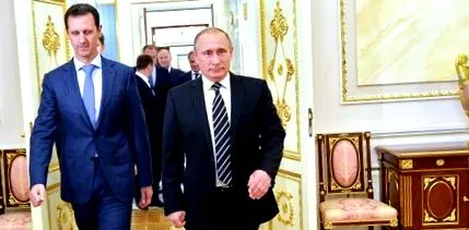організував