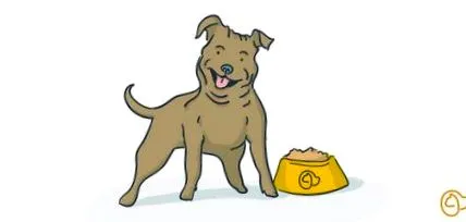 útmutató staffie