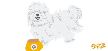 tulear