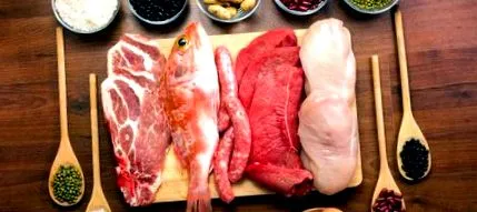 animale proteine