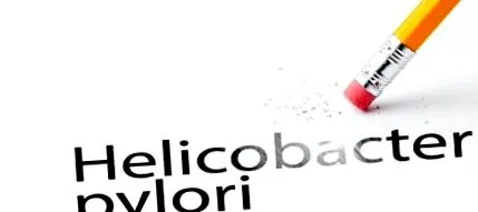 helicobacter helicobacter