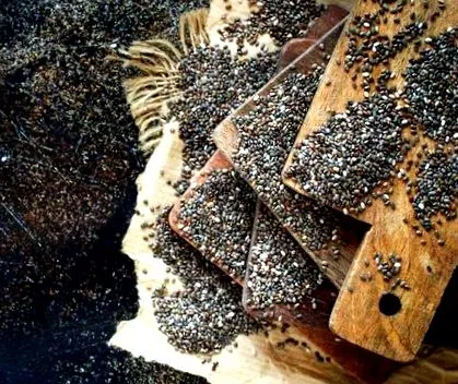 chia