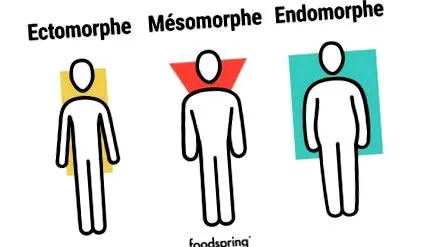 mezomorf