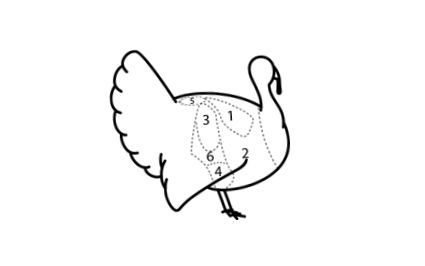 sovány