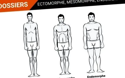ectomorf