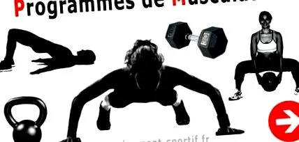 sportedzés