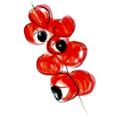 guarana