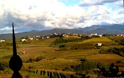 clătită