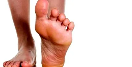 plantară