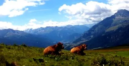 traversée