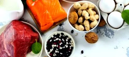proteinele